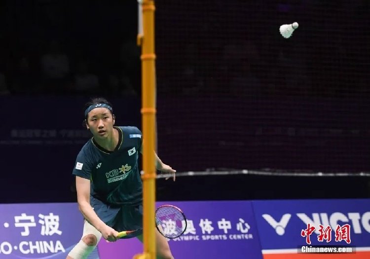 与共享的背 与共享的背