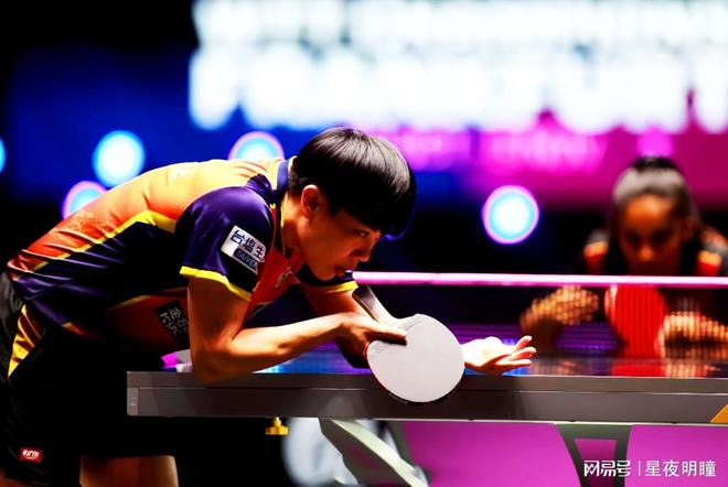 网球明星的 网球明星的